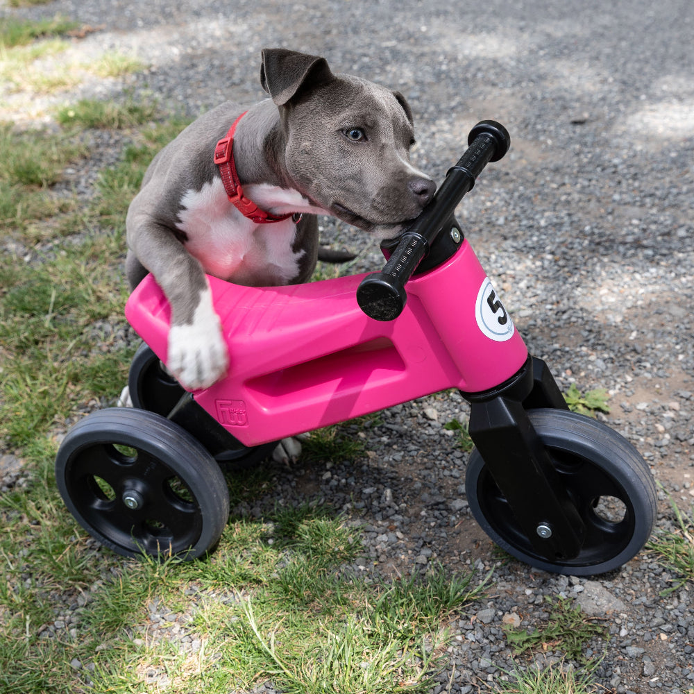 Bicicleta fara pedale Funny Wheels Rider Sport 2 in 1